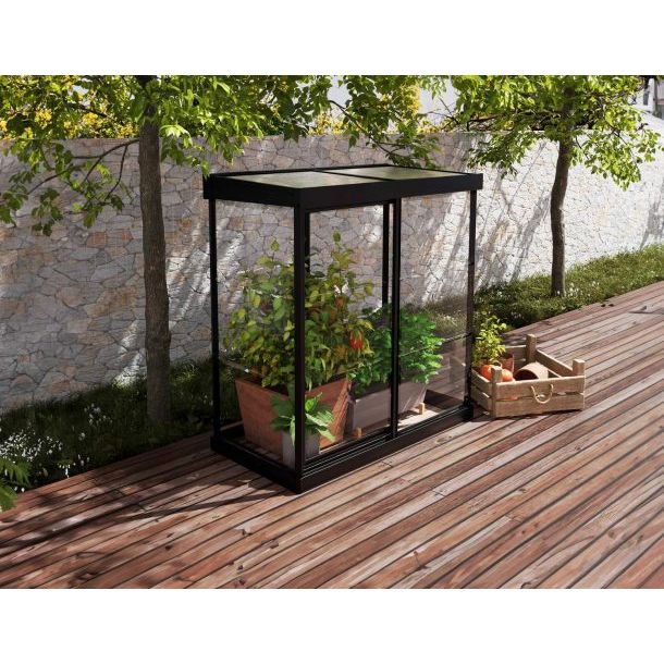 Canopia Ivy Mini Greenhouse - Black Structure & Clear Glazing