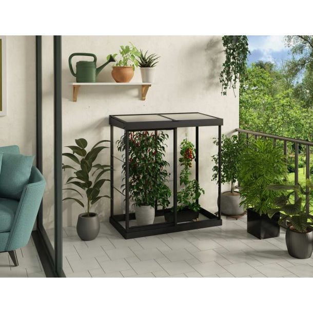 Canopia Ivy Mini Greenhouse - Black Structure & Clear Glazing