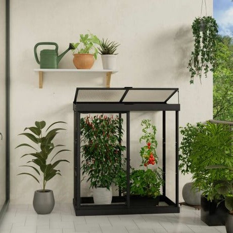 Canopia Ivy Mini Greenhouse - Black Structure & Clear Glazing