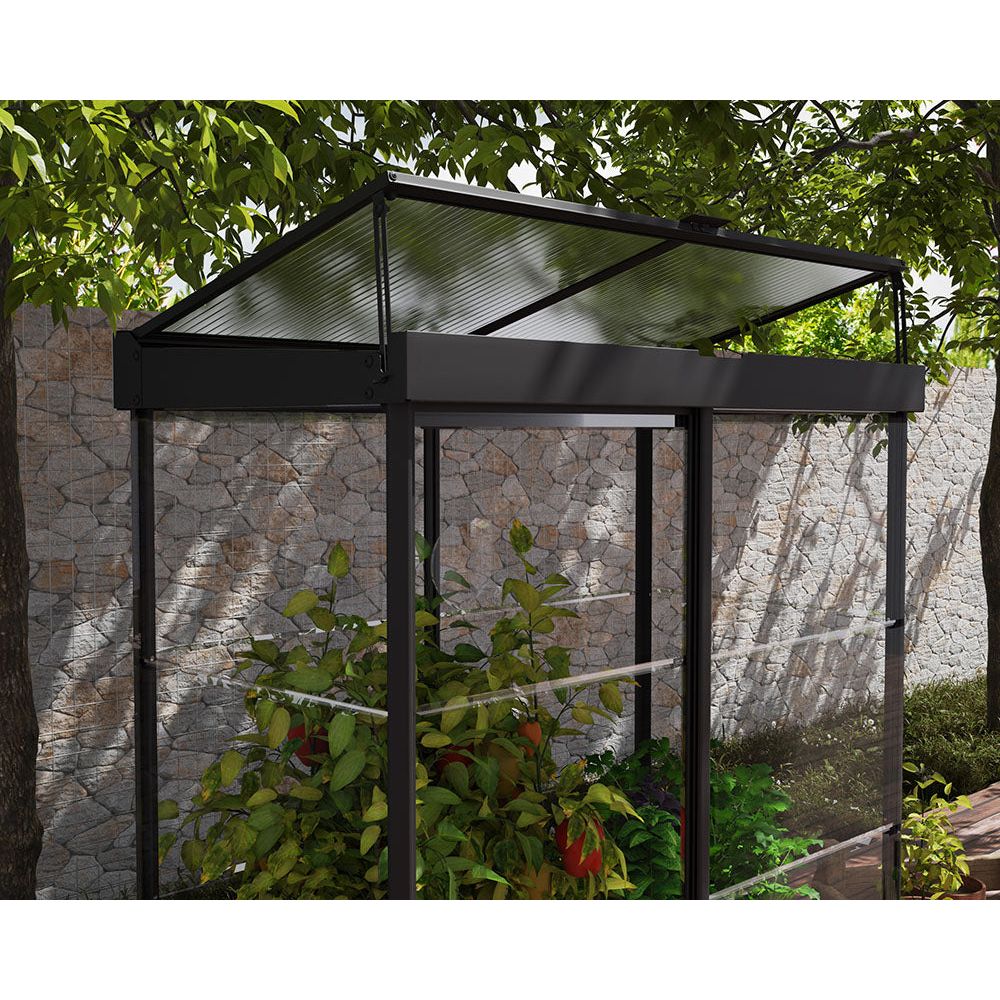 Canopia Ivy Mini Greenhouse - Black Structure & Clear Glazing