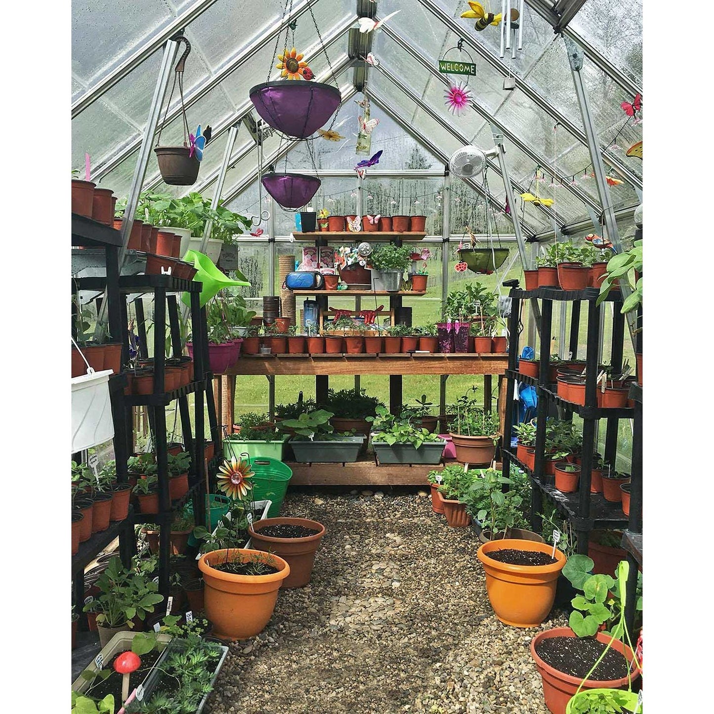 Canopia Octave Greenhouse - Silver Aluminium Frame & Clear Polycarbonate Panels