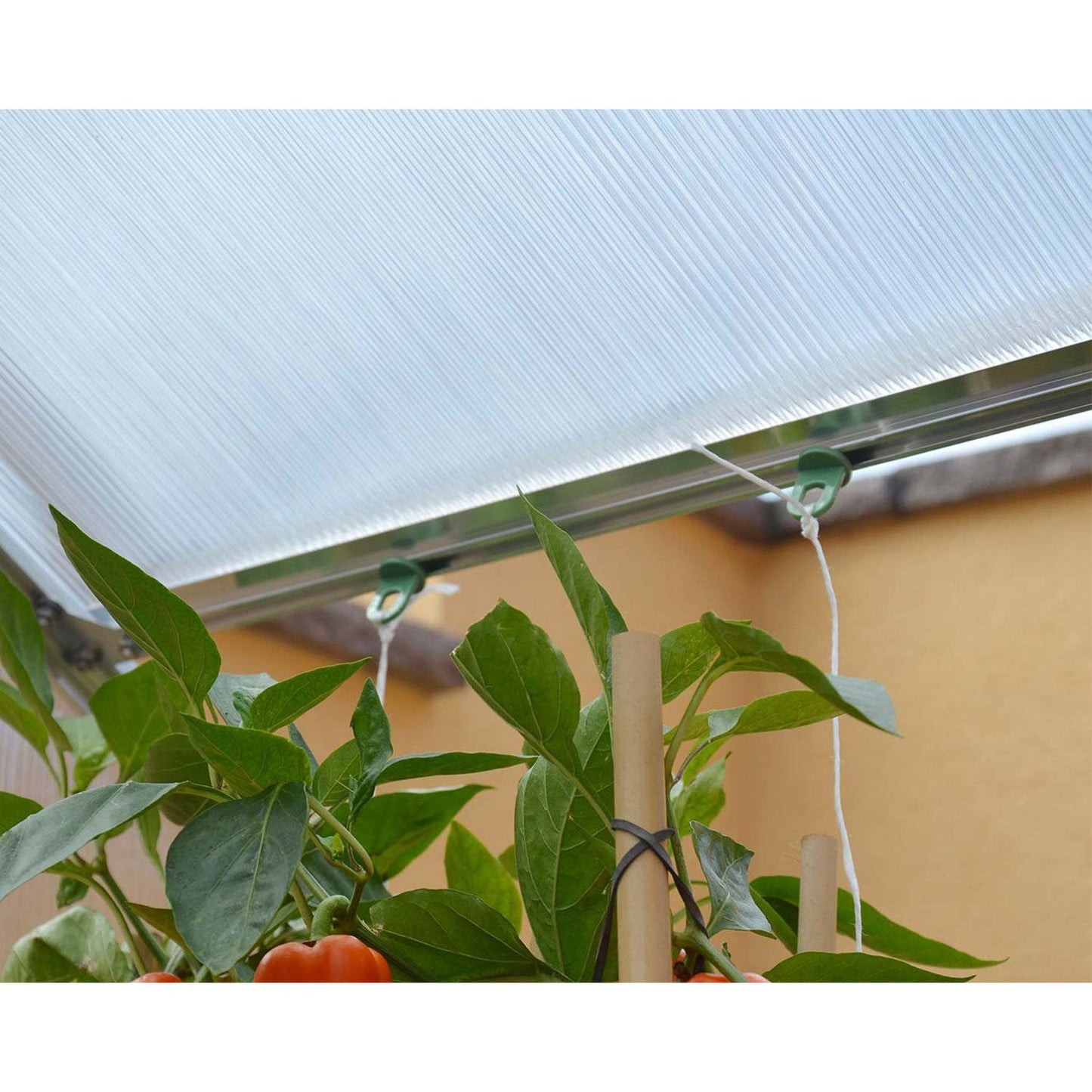 Canopia Greenhouse Plant Hangers