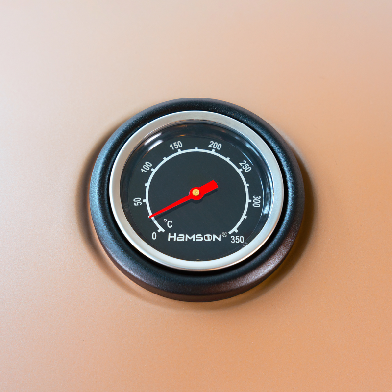 Ryde Compact Gas BBQ Grill