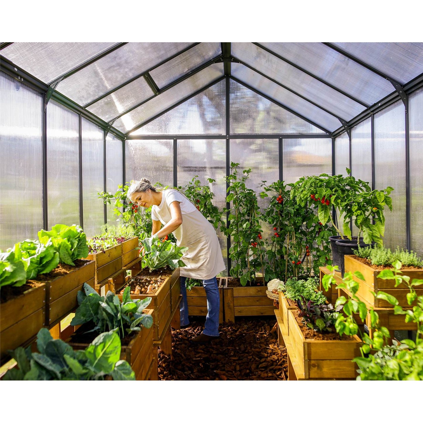 Canopia Glory Greenhouse - Grey Aluminium Frame & Multiwall Polycarbonate Panels
