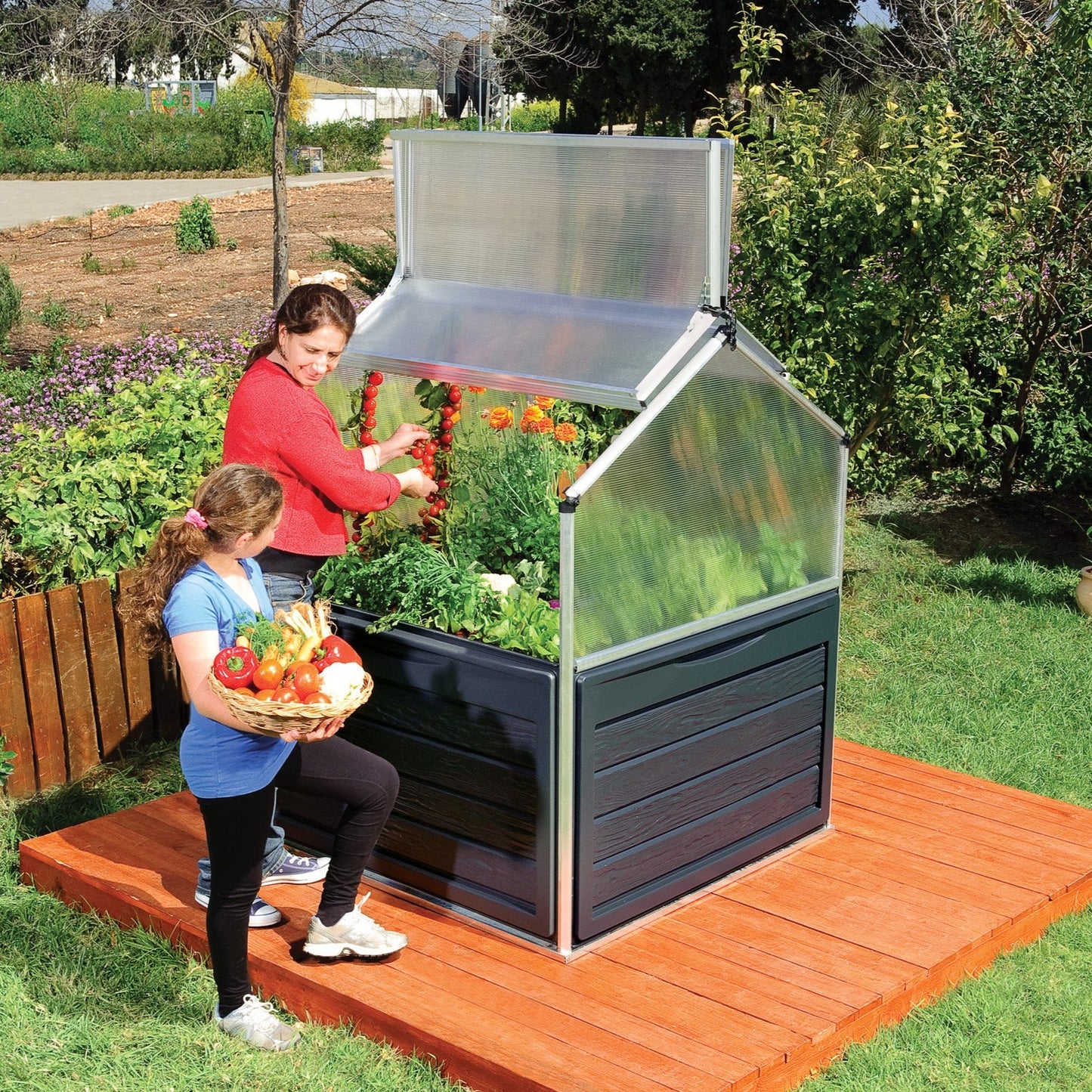 Canopia Plant Inn Mini Greenhouse - Silver Aluminium Frame & Clear Polycarbonate Panels