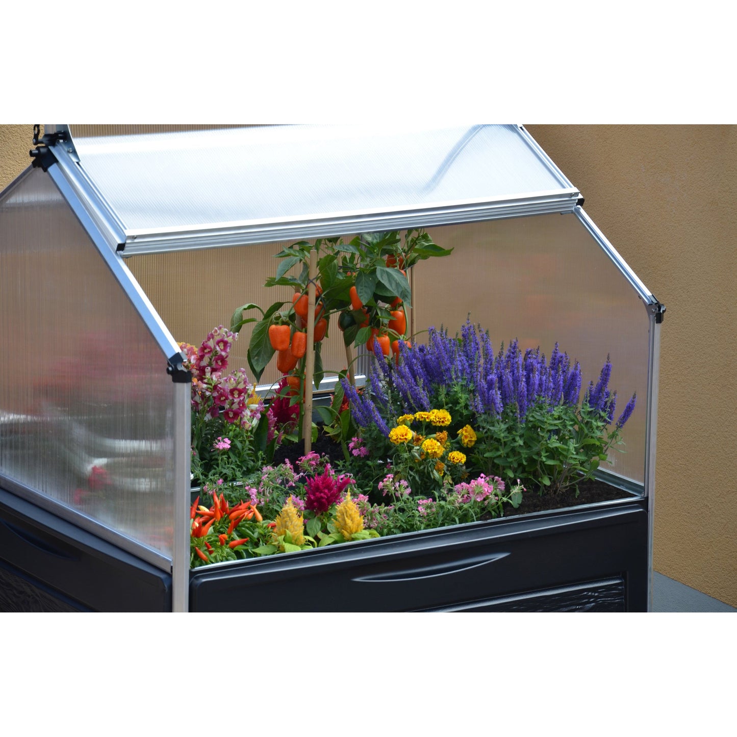 Canopia Plant Inn Mini Greenhouse - Silver Aluminium Frame & Clear Polycarbonate Panels