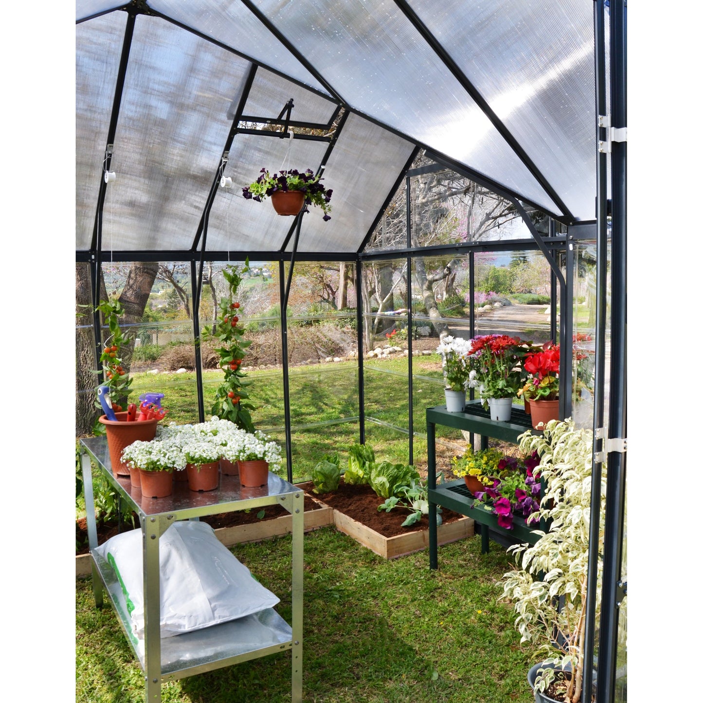 Canopia Victory Orangery Greenhouse - Grey Aluminium Frame & Hybrid Polycarbonate Panels