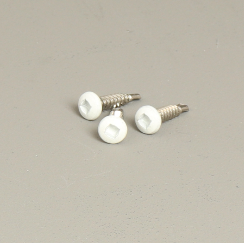 Fiano Stainless Steel Screws