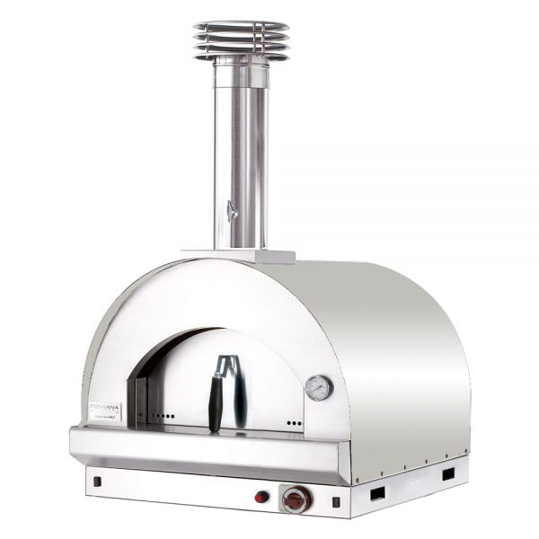 gas wood fired pizza oven